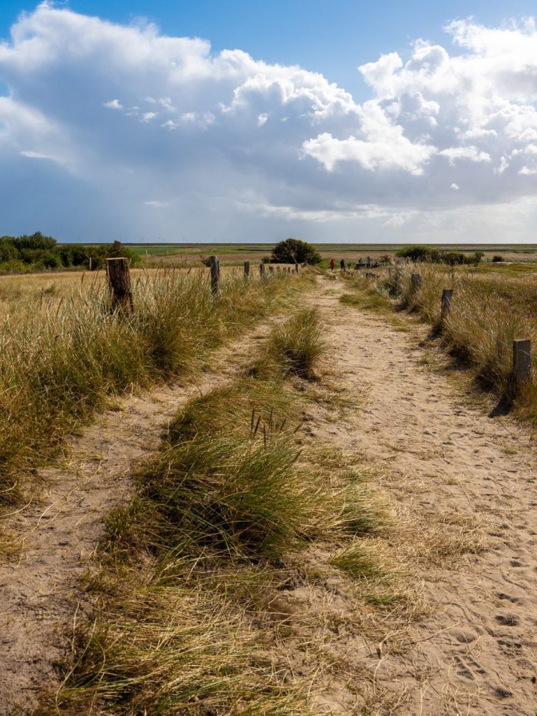 Ein Sandweg in einer offenen Landschaft mit hohem Gras und blauen Himmel.
